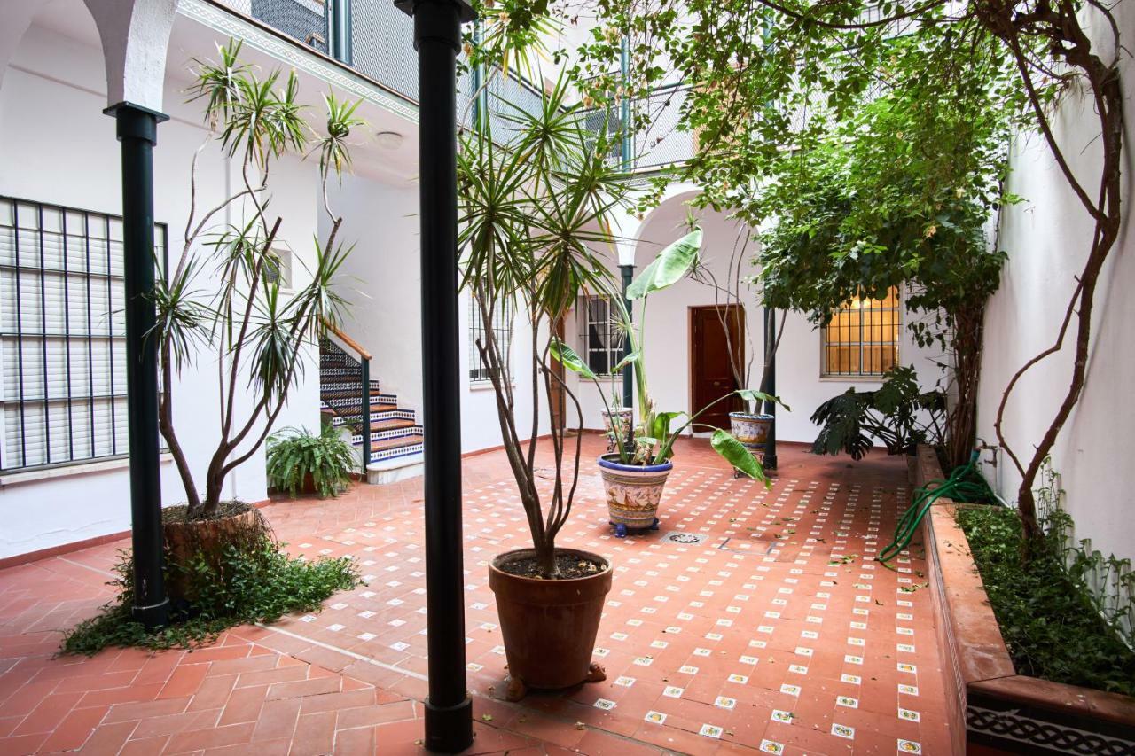 Pureza Oasis Suite — Photos 3